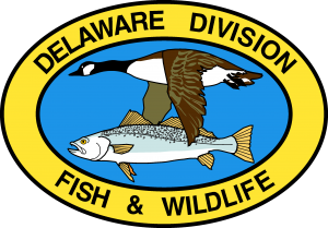 Division of Fish and Wildlife