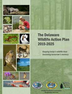 Wildlife Action Plan Cover