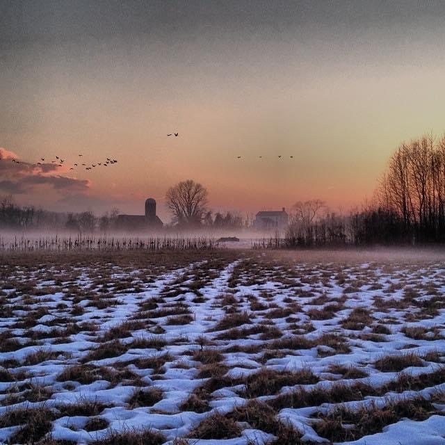 Photo of a fallow field in the winter