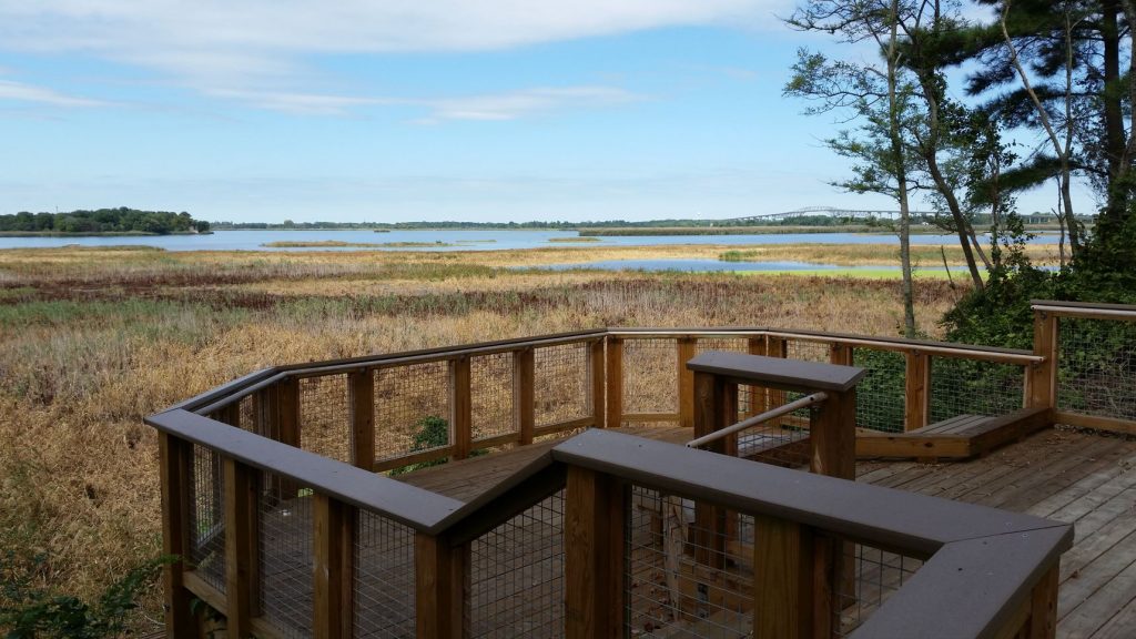 A side view of a wooden observation deck next to a wetland area.