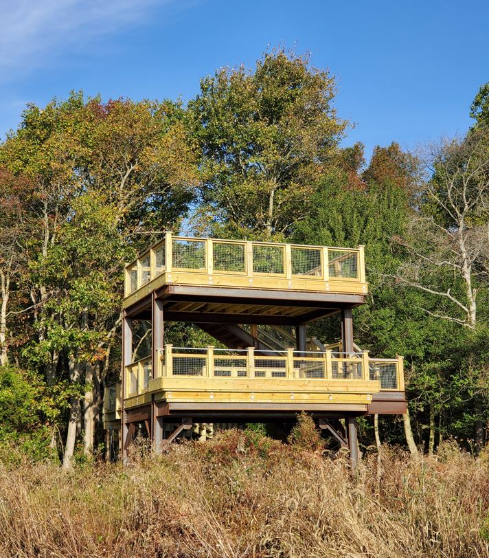 A two-level wooden wildlife viewing platform seen at the edge of a treeline.